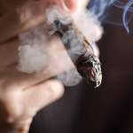 Tra diplomazia e oscurit�: le crepe del potere e l'avanzata economica delle mafie